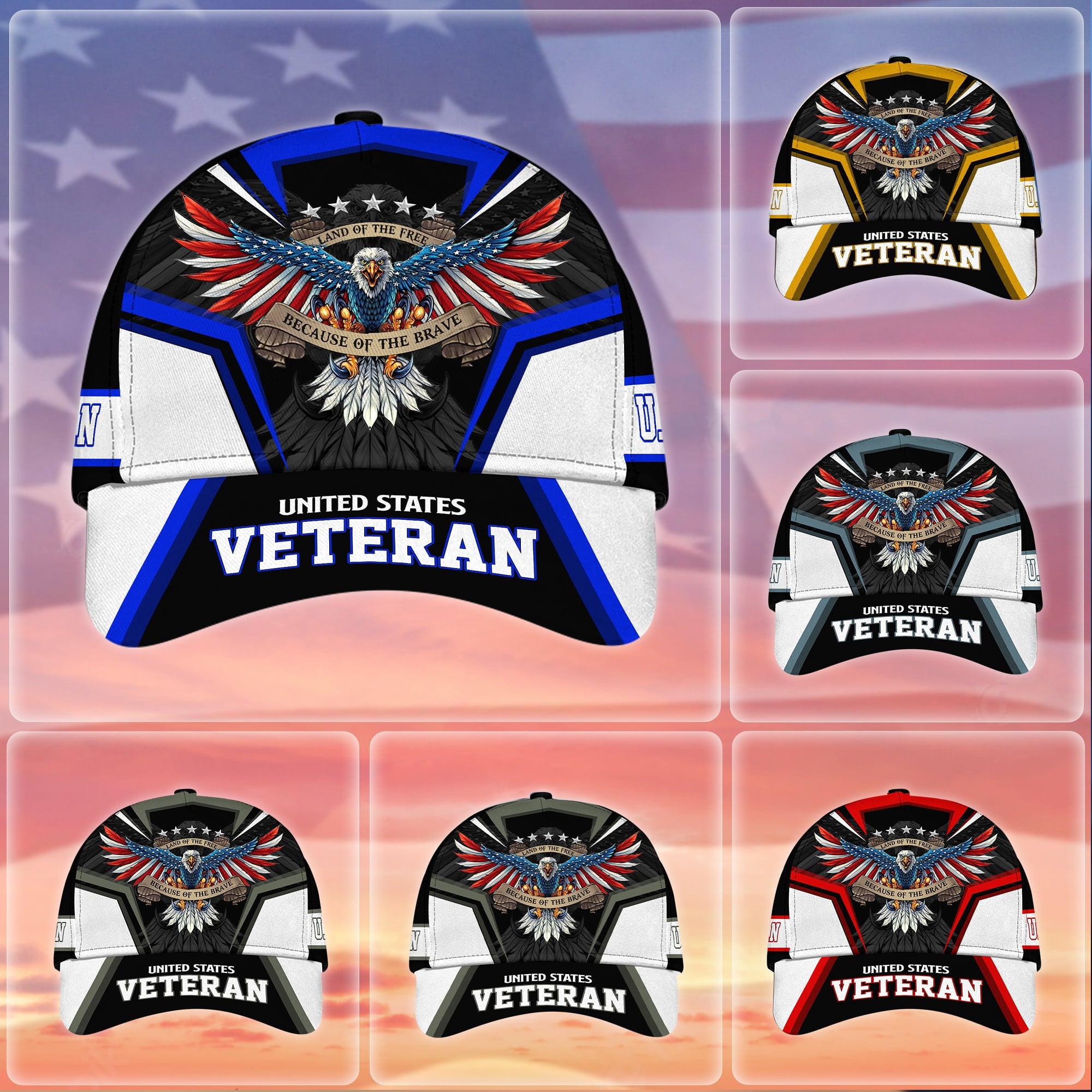 Premium Land Of The Free U.S. Veteran 3D Cap