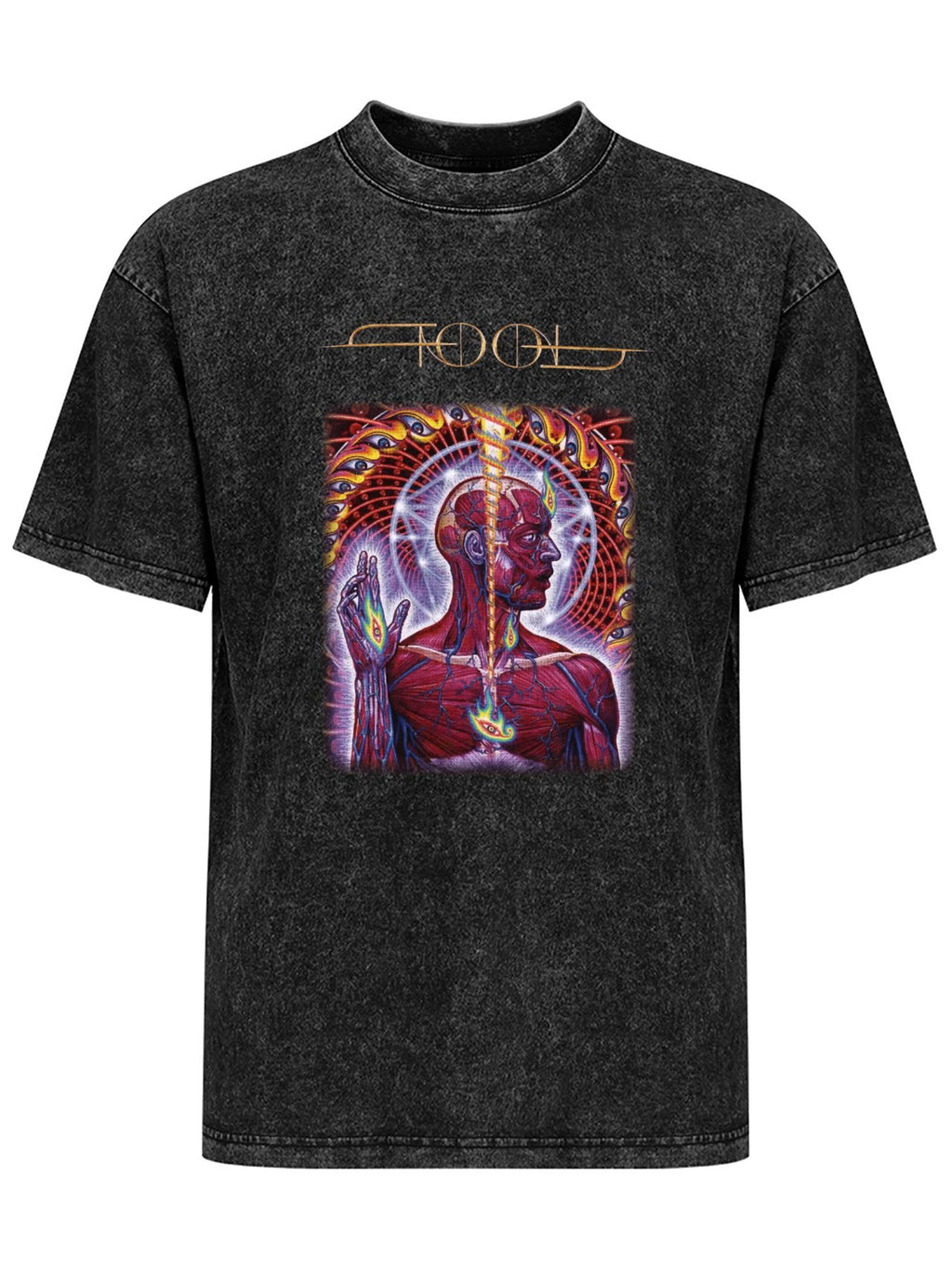 Vintage Washed Tool Anatomical Third Eye Graphic T-Shirt