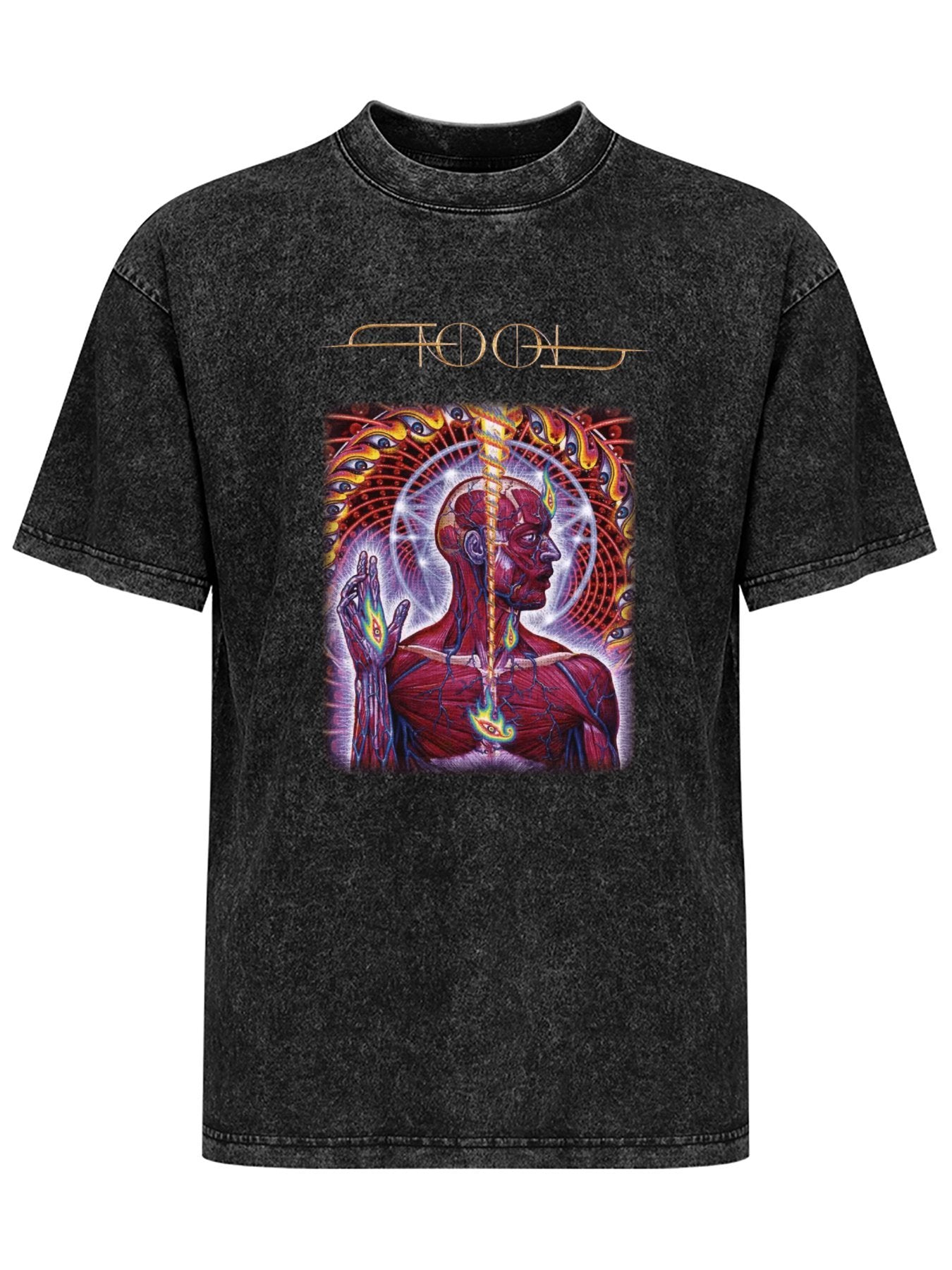 Vintage Washed Tool Anatomical Third Eye Graphic T-Shirt