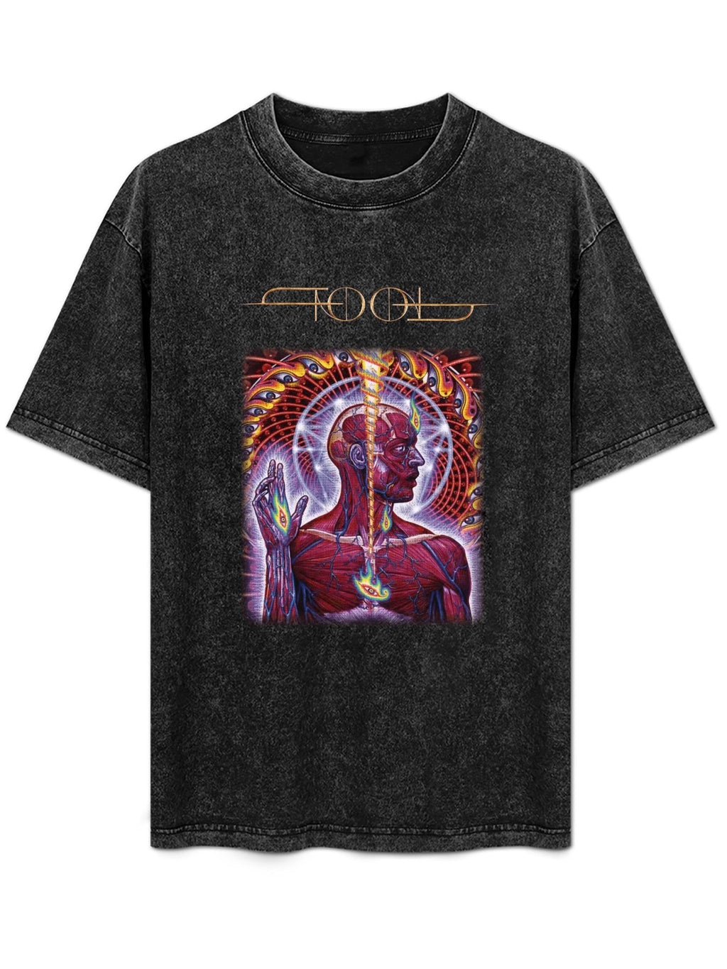 Vintage Washed Tool Anatomical Third Eye Graphic T-Shirt