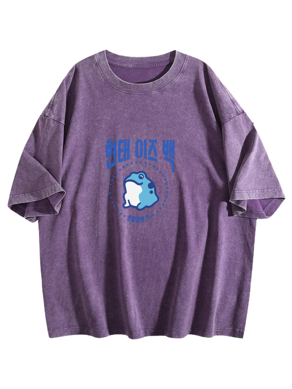Korean Frog Graphic Washed T-Shirt