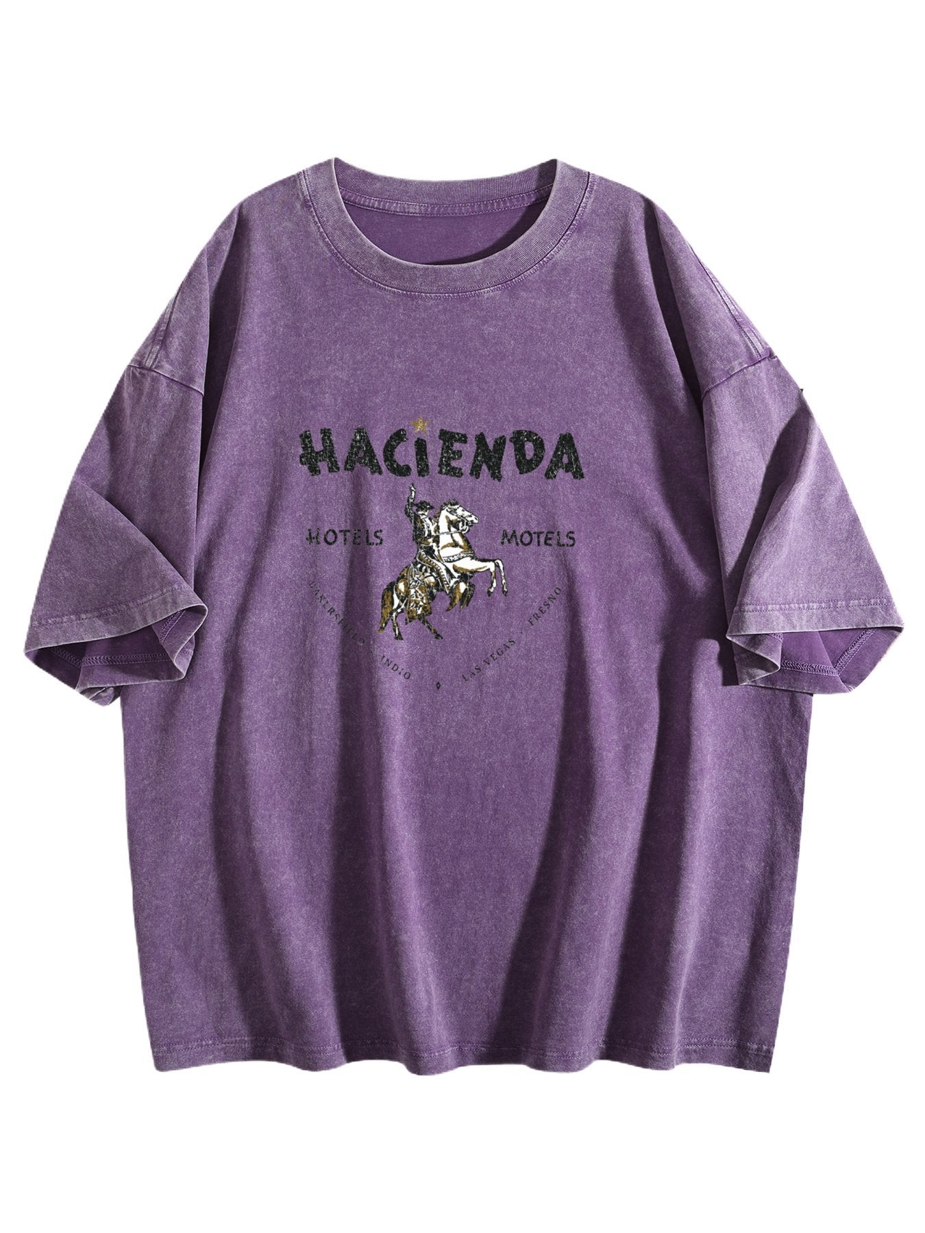 Hacienda Hotels and Motels Horse Graphic Washed T-Shirt